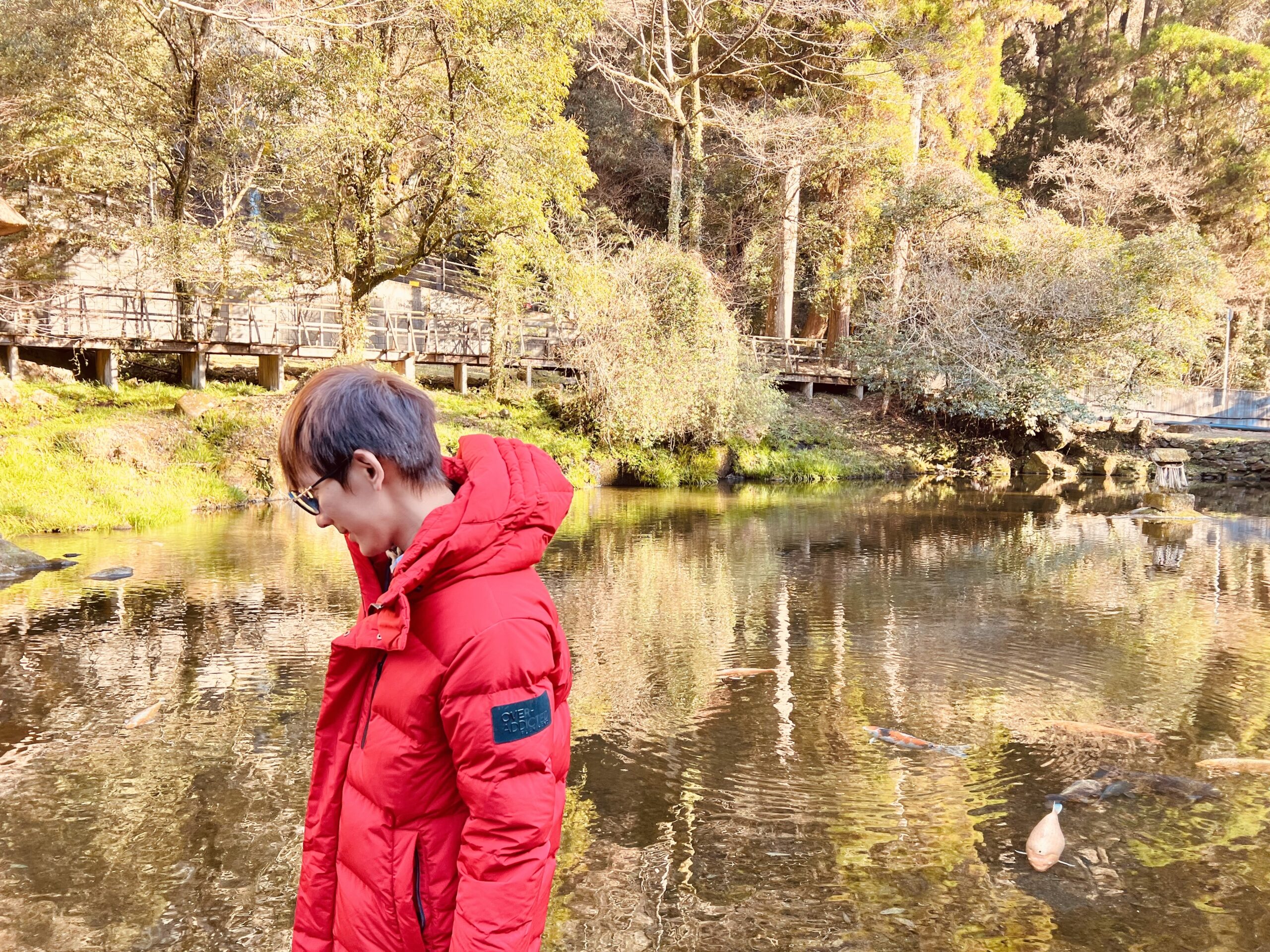 2024 理智派懶人包誕生 – 囊括機票、美食與旅遊等領域，更包含了生活綜合優惠情報